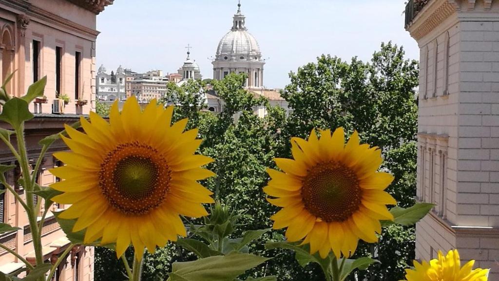 Residenza Cavallini Rome Luaran gambar